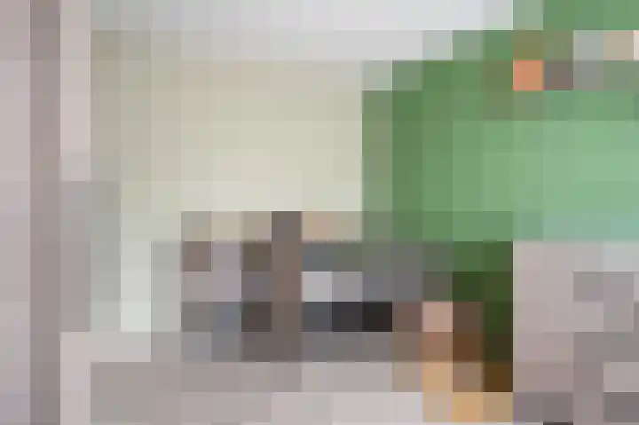 Velgraafweg 25 Holtum thumbnail 17