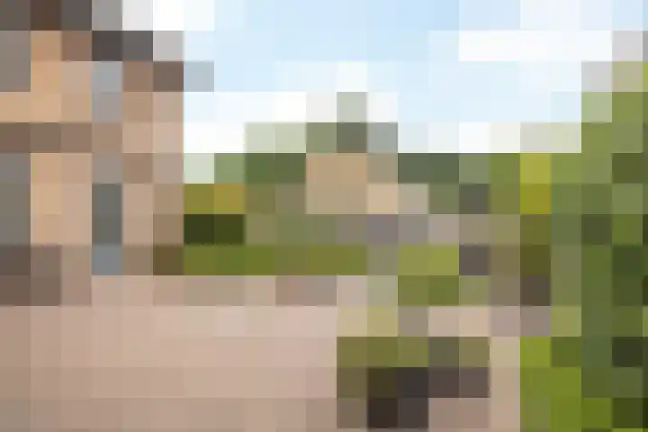 Velgraafweg 6 Holtum thumbnail 21