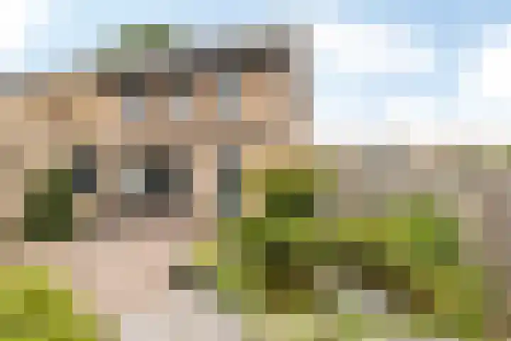 Velgraafweg 6 Holtum thumbnail 25