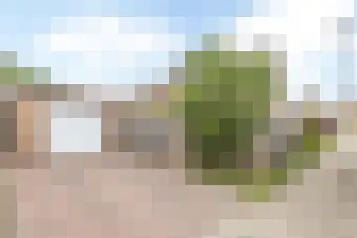 Velgraafweg 6 Holtum thumbnail 27