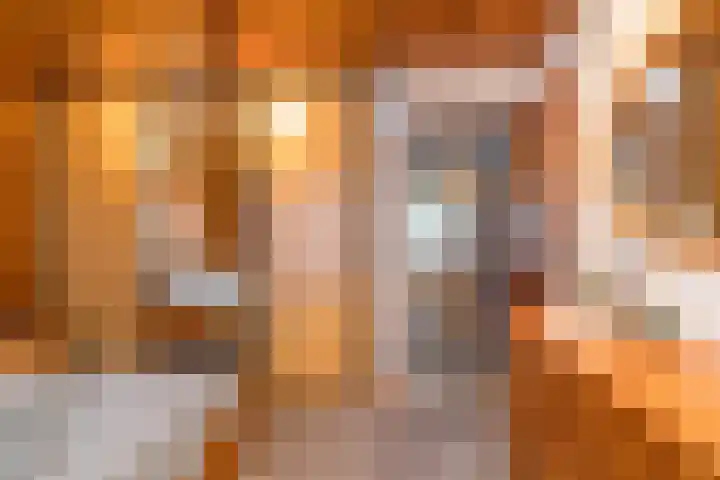 Velgraafweg 6 Holtum thumbnail 33
