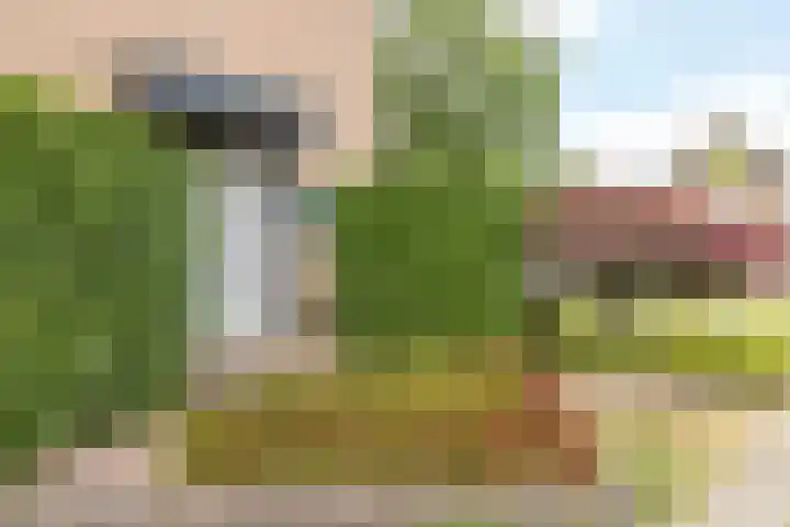 Velgraafweg 6 Holtum thumbnail 4