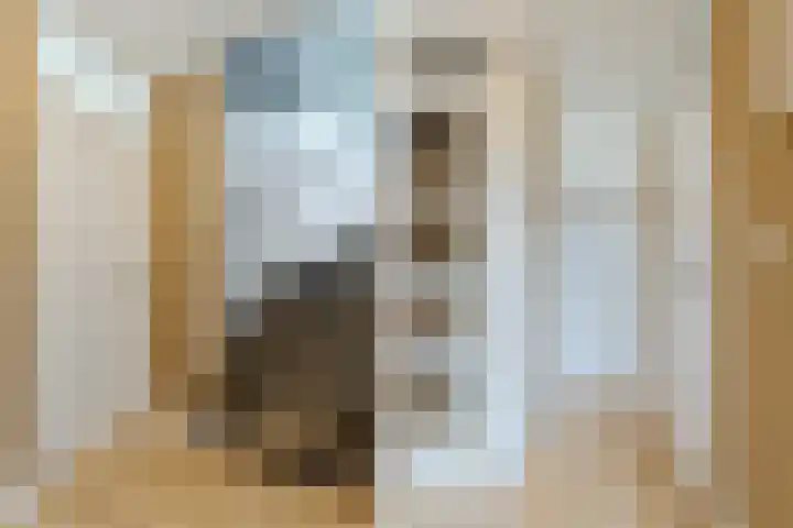Veliusstraat 7 Tilburg thumbnail 15
