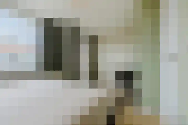 Veliusstraat 7 Tilburg thumbnail 20