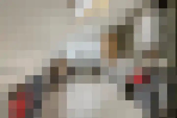 Veliusstraat 7 Tilburg thumbnail 33
