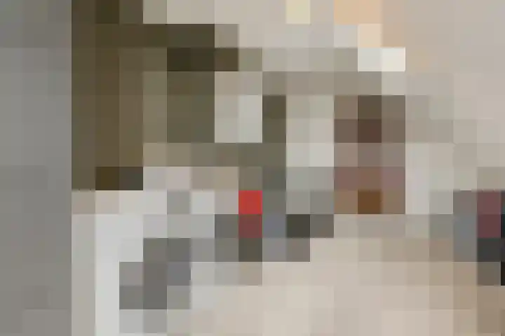 Veliusstraat 7 Tilburg thumbnail 36