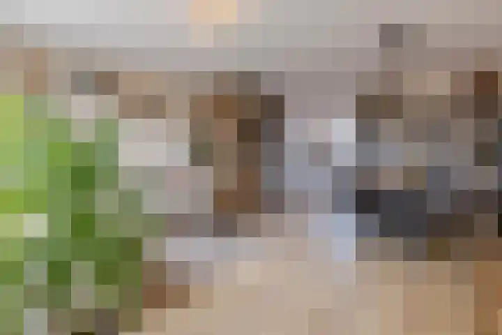 Veliusstraat 7 Tilburg thumbnail 5