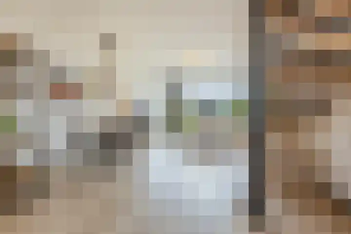 Veliusstraat 7 Tilburg thumbnail 9