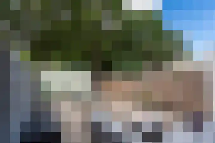 Vellingenhoef 80 Tilburg thumbnail 26
