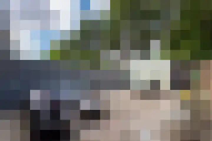 Vellingenhoef 80 Tilburg thumbnail 27