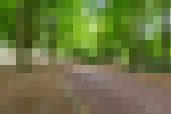 Vellingenhoef 80 Tilburg thumbnail 31
