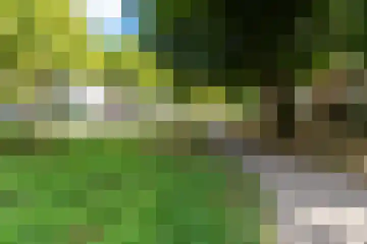 Vellingenhoef 80 Tilburg thumbnail 32