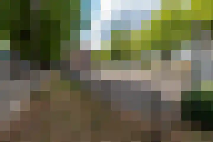 Vellingenhoef 80 Tilburg thumbnail 33