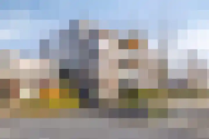 Velmolenweg 143 C Uden thumbnail 31