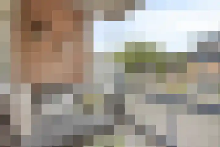 Velmolenweg 31 Uden thumbnail 14