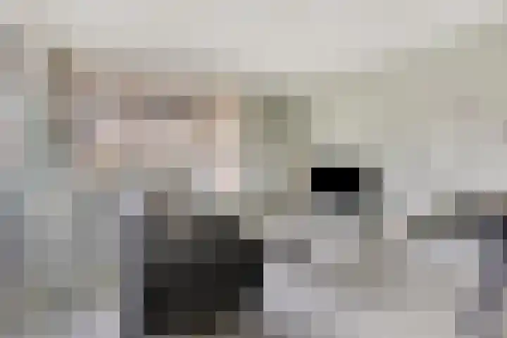 Velmolenweg 31 Uden thumbnail 4