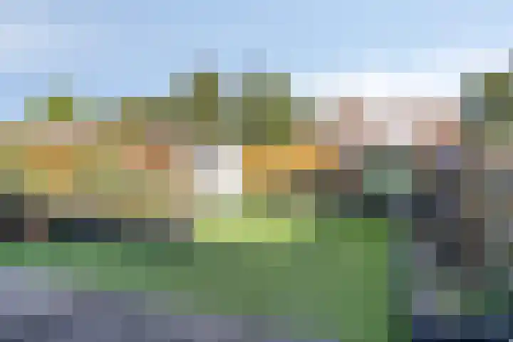 Velmolenweg 74 Uden thumbnail 38