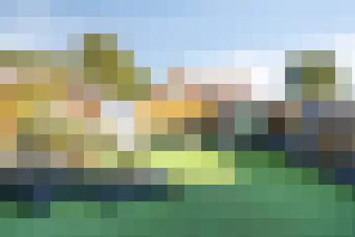 Velmolenweg 74 Uden thumbnail 4