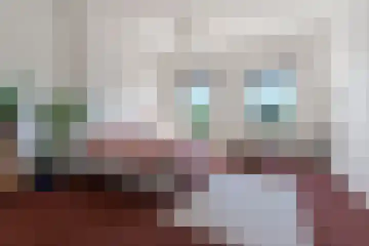 Velperbuitensingel 13 B Arnhem thumbnail 6