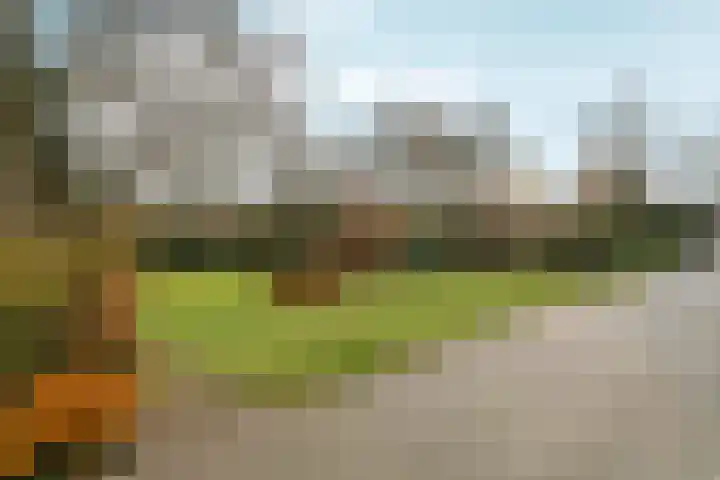 Velperweg 186 1 Arnhem thumbnail 22