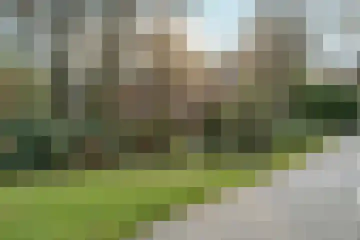 Velperweg 186 1 Arnhem thumbnail 23
