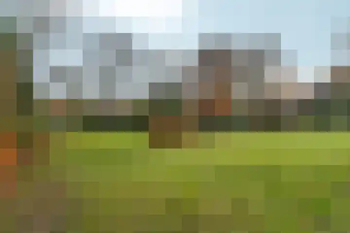 Velperweg 186 1 Arnhem thumbnail 39