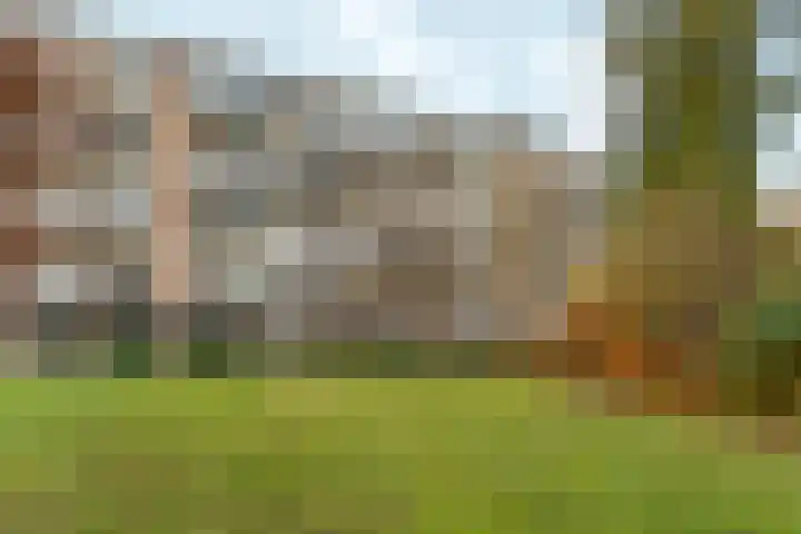 Velperweg 186 1 Arnhem thumbnail 42