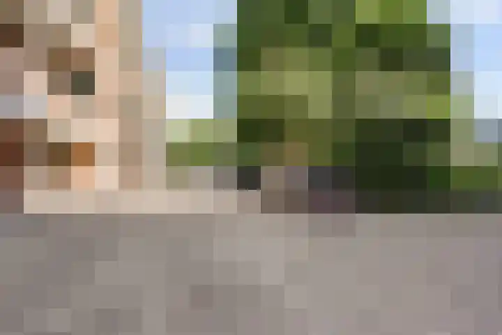 Velperweg 48 A 2 Arnhem thumbnail 44