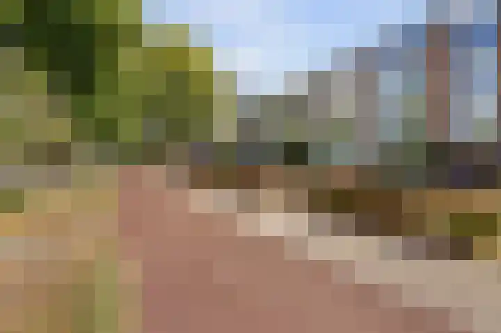 Velperweg 48 A 2 Arnhem thumbnail 5