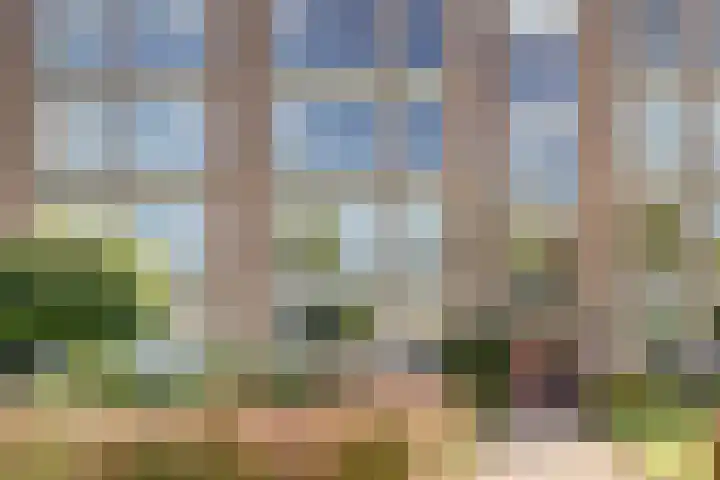 Velperweg 48 A 2 Arnhem thumbnail 6