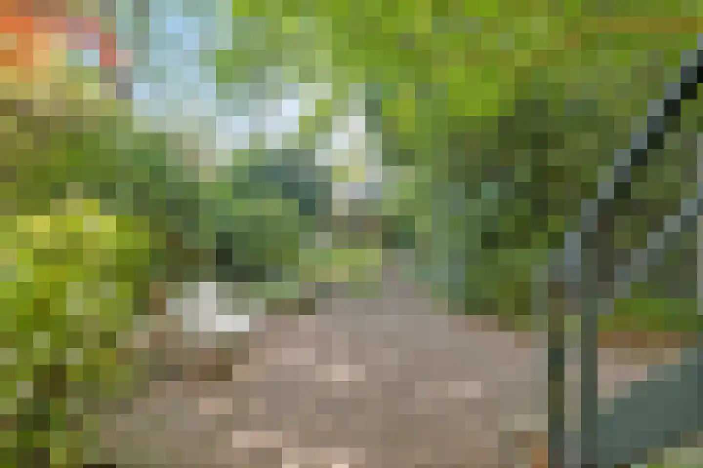 Velperweg 52 Arnhem thumbnail 12