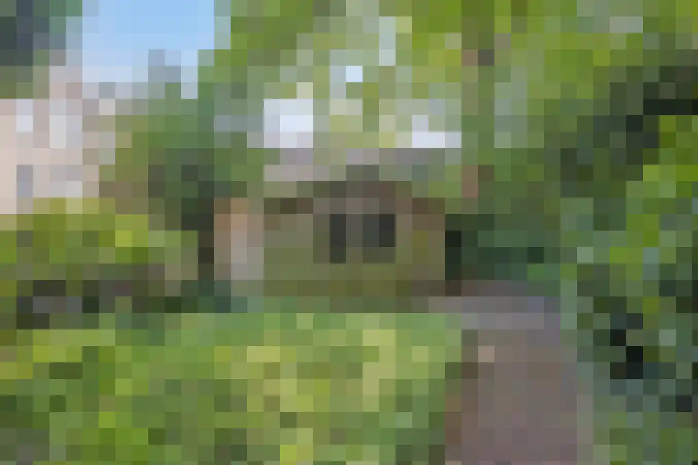 Velperweg 52 Arnhem thumbnail 47