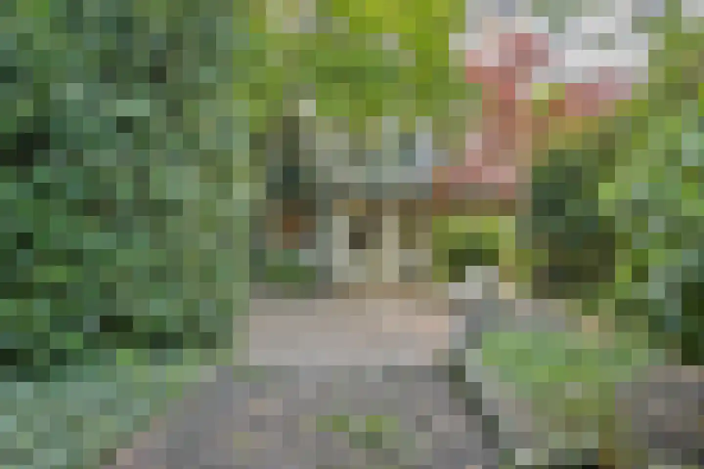 Velperweg 52 Arnhem thumbnail 48
