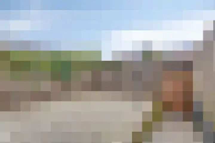Velsenpad 13 Almere thumbnail 23