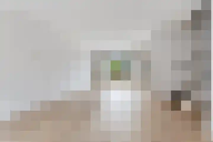 Velsenpad 13 Almere thumbnail 7