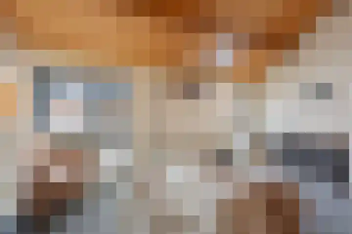 Velsenpad 38 Almere thumbnail 34