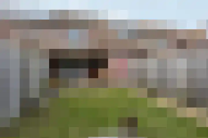 Velsenpad 38 Almere thumbnail 5
