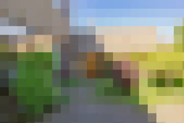 Velserburch 14 Velsen-Zuid thumbnail 16