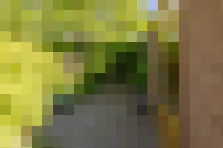 Velserburch 14 Velsen-Zuid thumbnail 17
