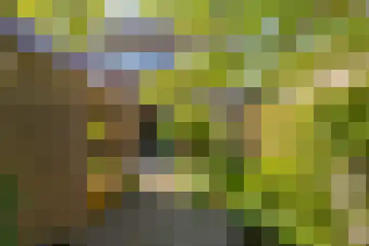 Velserburch 14 Velsen-Zuid thumbnail 18