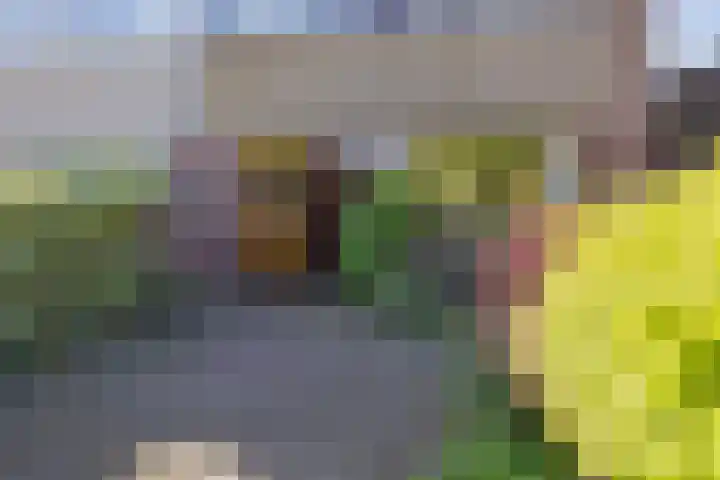 Velserburch 14 Velsen-Zuid thumbnail 19