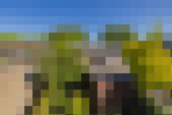 Velserburch 14 Velsen-Zuid thumbnail 30
