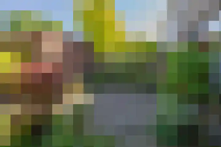 Velserburch 14 Velsen-Zuid thumbnail 4