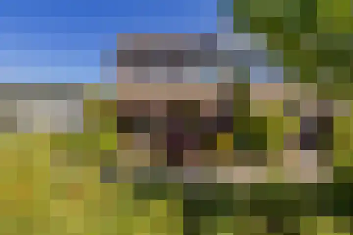 Velserburch 14 Velsen-Zuid thumbnail 45