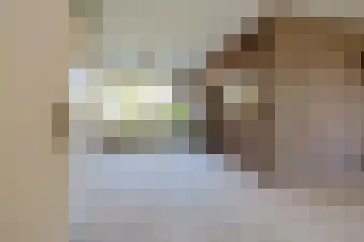 Velserburch 14 Velsen-Zuid thumbnail 8