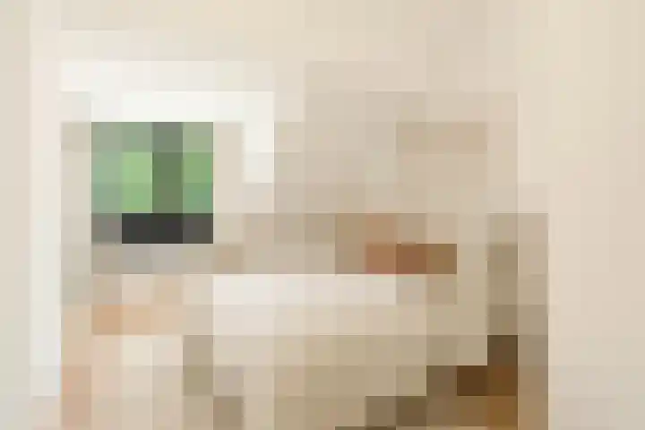 Velserweg 26 Amsterdam foto 3