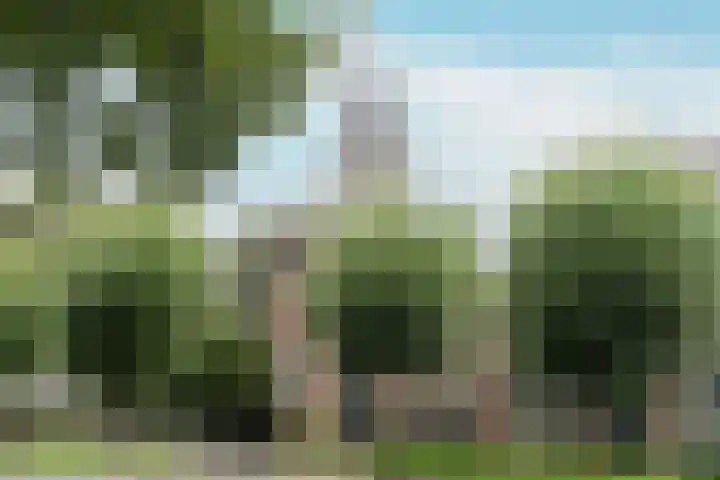 Velserweg 26 Amsterdam thumbnail 32
