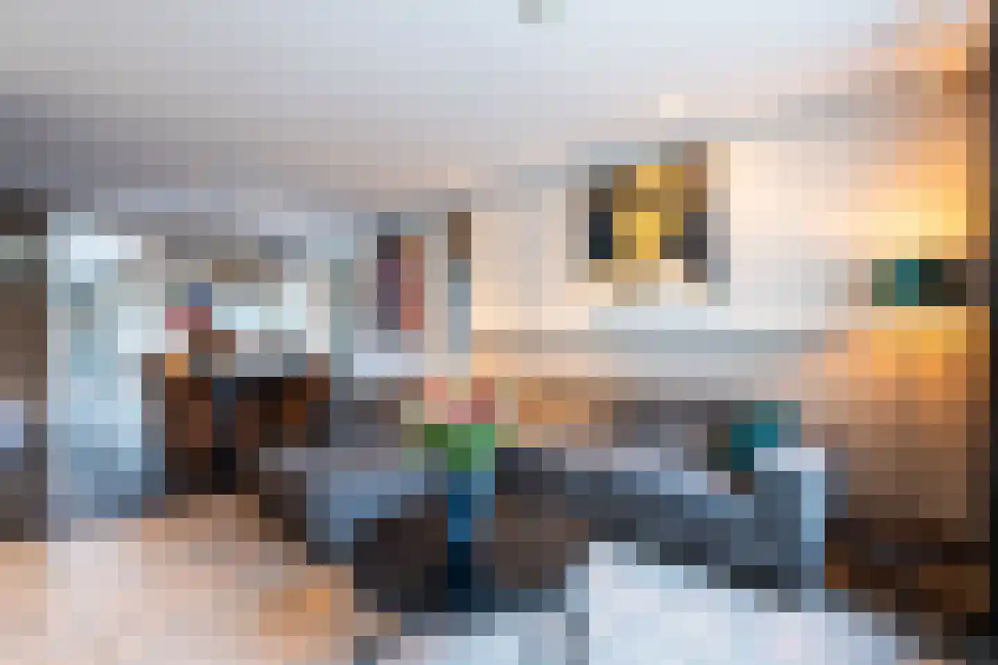 Velsgoed 12 Prinsenbeek thumbnail 11