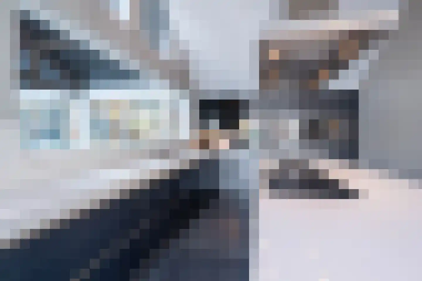 Velsgoed 12 Prinsenbeek thumbnail 15