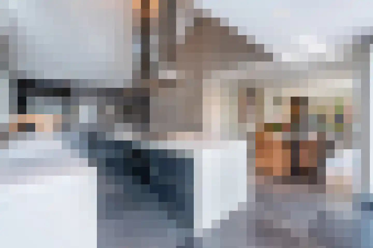 Velsgoed 12 Prinsenbeek thumbnail 17